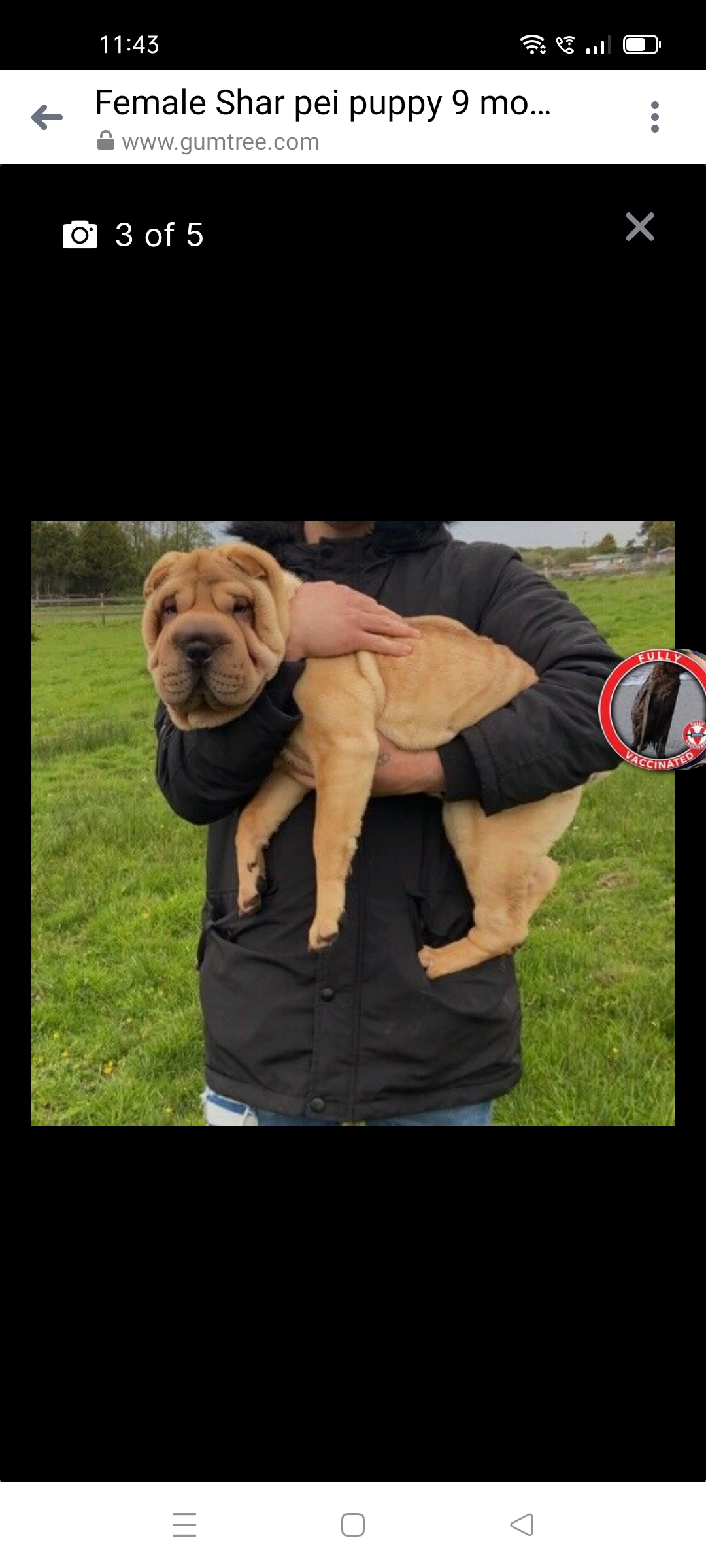 Slasherslasher1 avatar