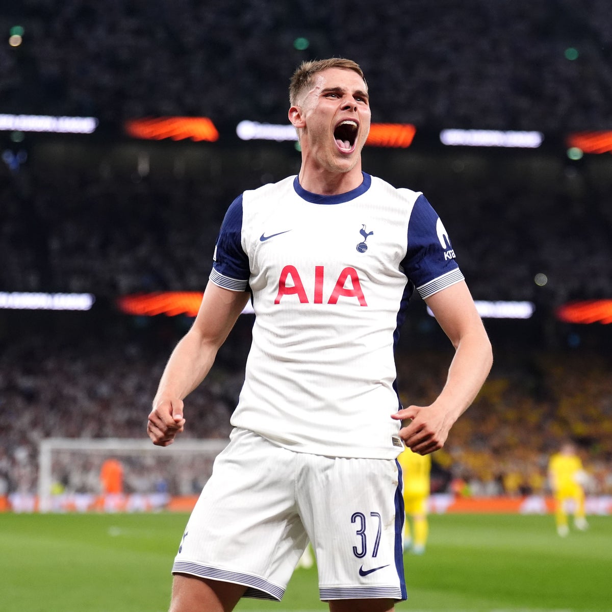 Kittenwhiskers911 avatar