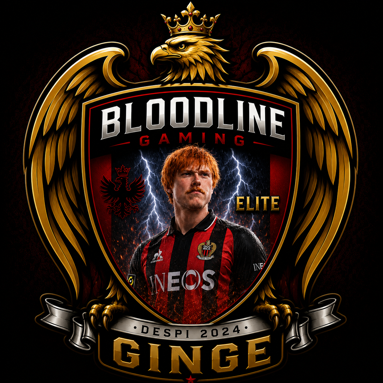 GINGENFFC avatar