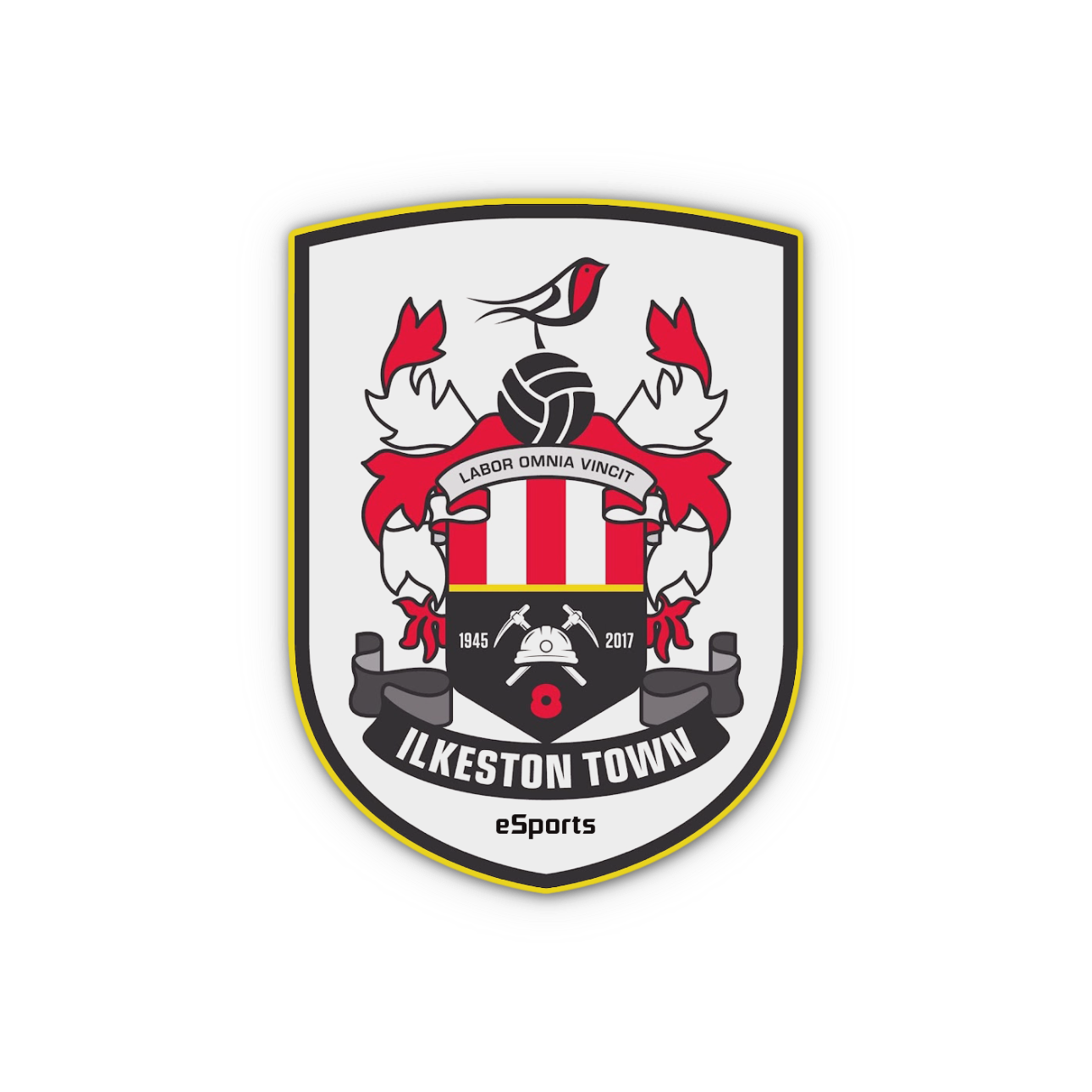 SLS Ilkeston Town eSports logo