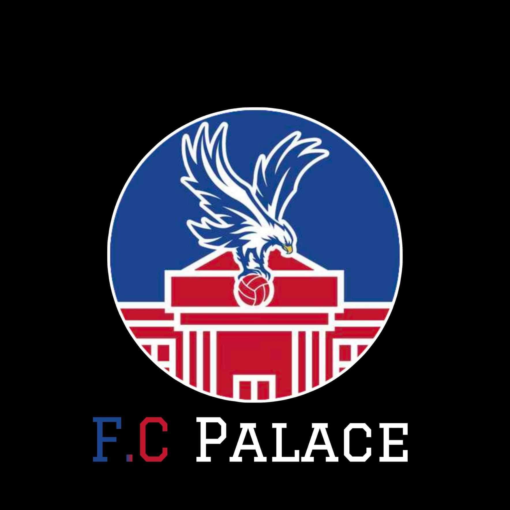 FLCLN FC Palace (Folded) logo