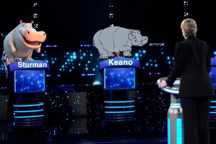 FLCLN Sturmans Hippos (Folded) logo